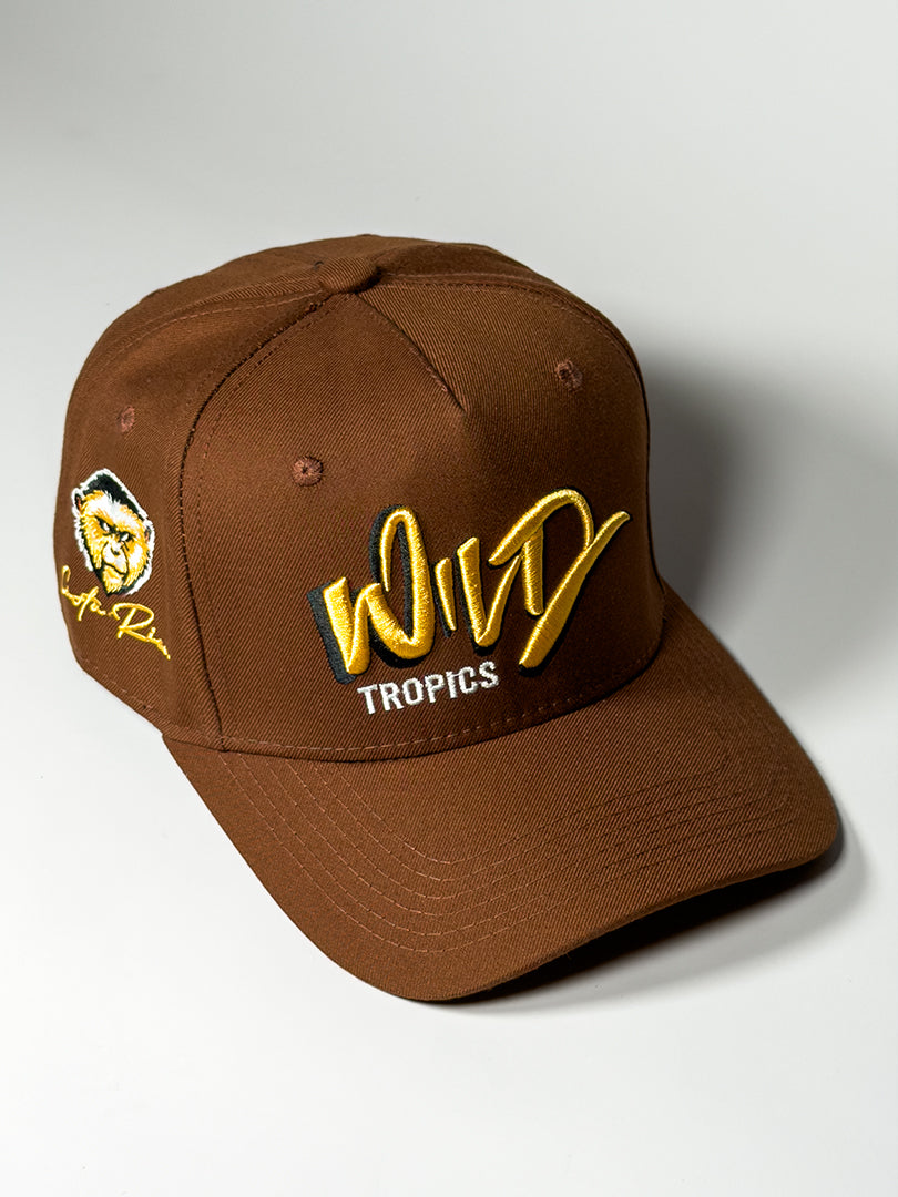 Nosara Line - Snapback Cap