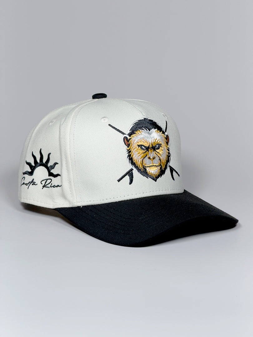 Coffee Monkey - Gorra Snapback