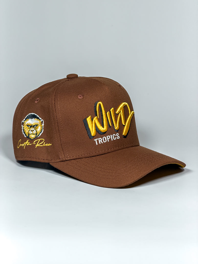 Nosara Line - Snapback Cap
